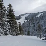 Сasa de vacaciones Bear